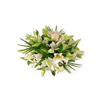 Lilies flowers delivery - Flowers Auckland