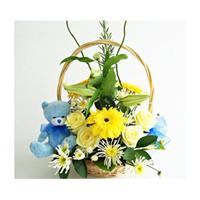 Gift Baskets/Boxes for New Baby flowers delivery - Flowers Auckland