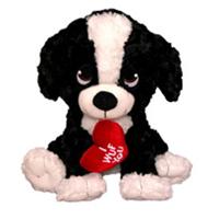 Romantic Soft Toy Gifts flowers delivery - Flowers Auckland
