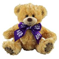 Soft Toys and Toy Gifts flowers delivery - Flowers Auckland
