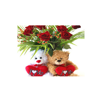 Red Roses and Teddy - flowers delivery - Flowers Auckland florist flowers delivery - Flowers Auckland