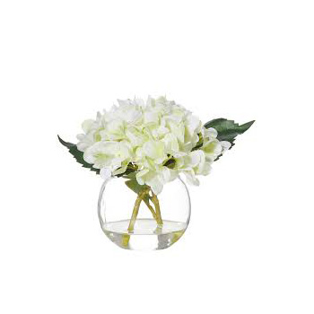 Snow white Hydrangeas are a stunning flower over summer flowers delivery - Flowers Auckland