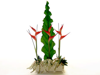 Heliconia Hit a distinctive modern arrangement from Flowers Auckland Florist flowers delivery - Flowers Auckland