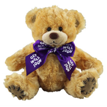get well care bear