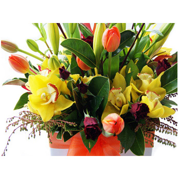 Boxed Arrangement chocca filled with beautiful seasonal flowers from Flowers Auckland flowers delivery - Flowers Auckland