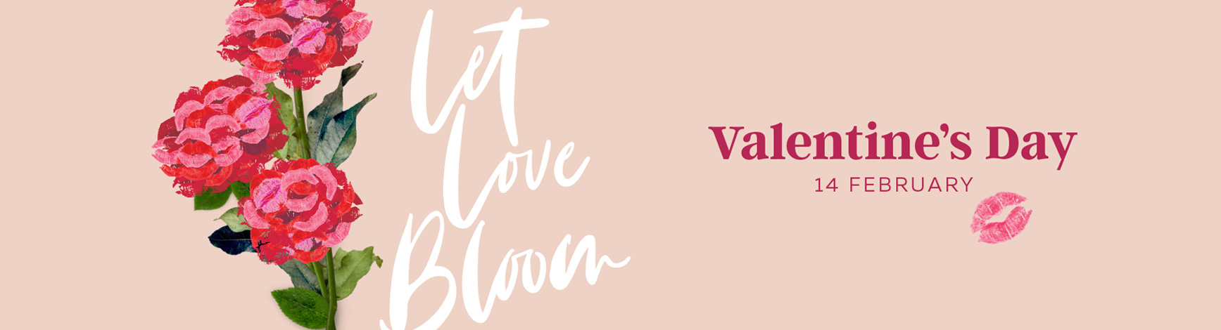 Valentine's Day Red Roses and Flowers at Flowers Auckland Feb 14