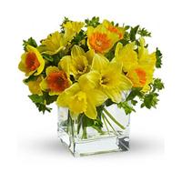 Seasonal Cut Flowers flowers delivery - Flowers Auckland