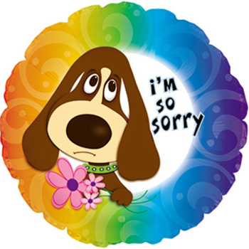 Saying Sorry made easy and fun with this Helium Balloon from Flowers Auckland flowers delivery - Flowers Auckland
