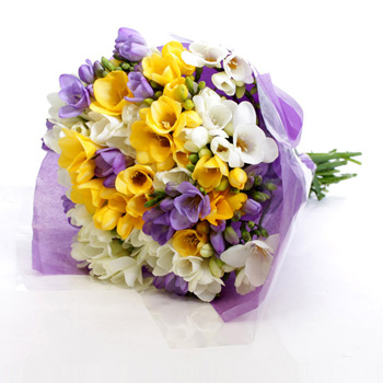 Flowers Auckland Freesia Fragrance - flowers delivery flowers delivery - Flowers Auckland