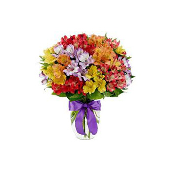 Alstroemeria Array long lasting Flowers Bouquet for delivery Auckland wide flowers delivery - Flowers Auckland