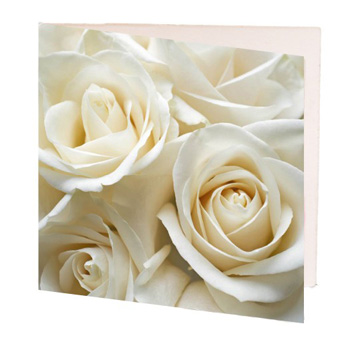Rose Gift Card flowers delivery - Flowers Auckland