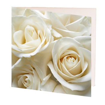 Rose Gift Card Rose Gift Card flowers delivery - Flowers Auckland