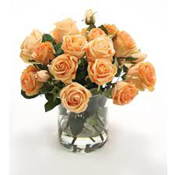 Peach Rose Bouquets Peach Rose Bouquets flowers delivery - Flowers Auckland