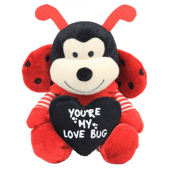 You are my Love Bug flowers delivery - Flowers Auckland