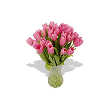 Mother's Day Special from Flowers Auckland, fun tulips flowers delivery - Flowers Auckland