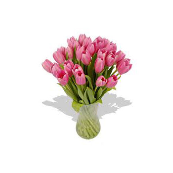 Mother's Day Special from Flowers Auckland, fun tulips Mother's Day Special from Flowers Auckland, fun tulips flowers delivery - Flowers Auckland