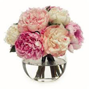 Send Peonies today and celebrate NZ Flowers week flowers delivery - Flowers Auckland