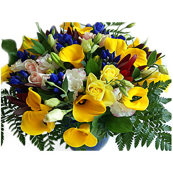 Calla Lily Bouquet Calla Lily Bouquet flowers delivery - Flowers Auckland