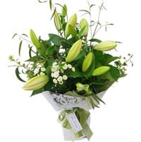 Classic White Lily Bouquet flowers delivery - Flowers Auckland
