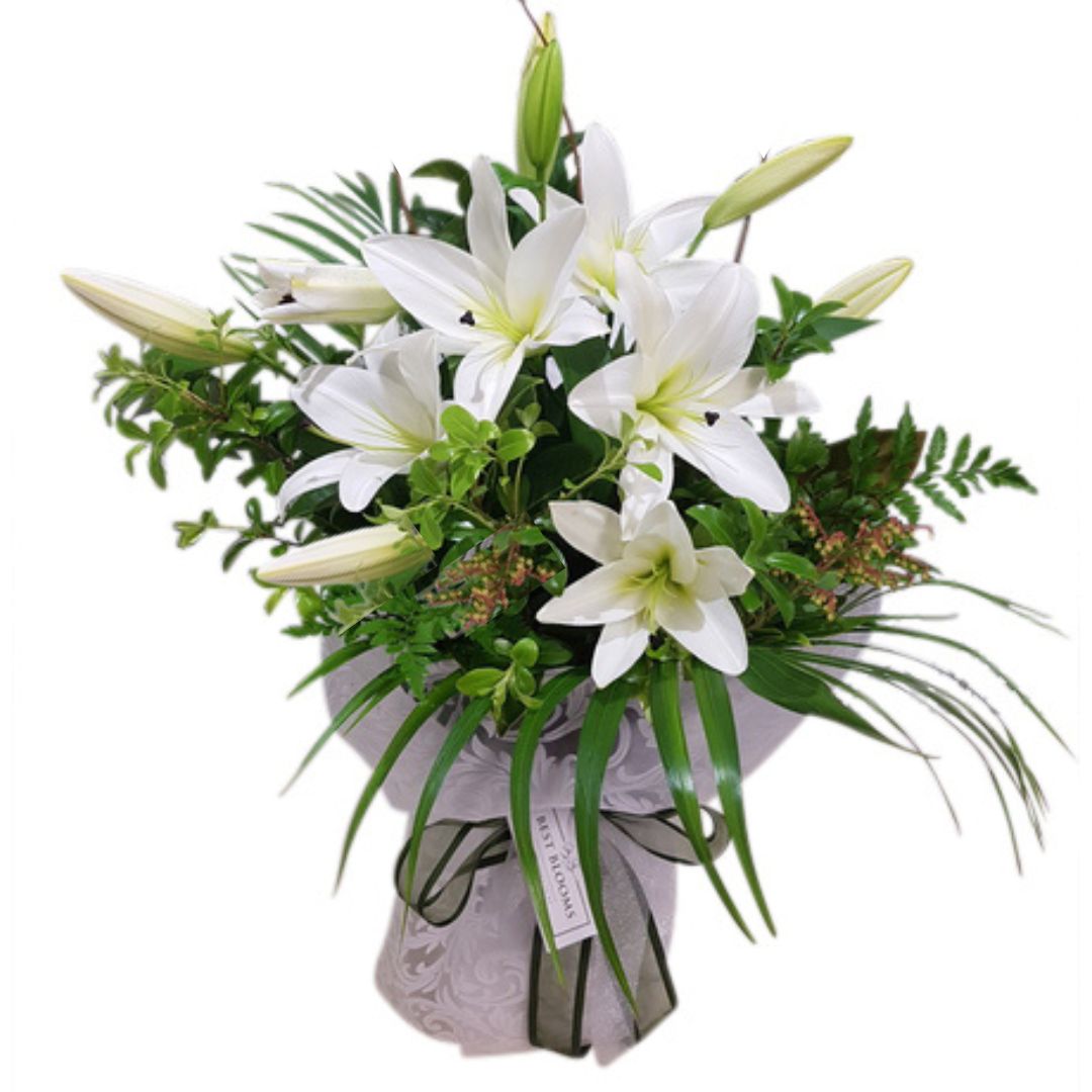  flowers delivery - Flowers Auckland
