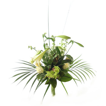 Elegance to the Max-Sympathy flowers from Flowers Auckland flowers delivery - Flowers Auckland