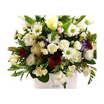 White Boxed Seasonal Flowers from Flowers Auckland flowers delivery - Flowers Auckland