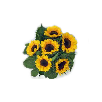Sunflowers at Flowers Auckland delivered Auckland wide flowers delivery - Flowers Auckland