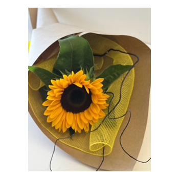 Send Single Sunflowers to Brighten up one's Day flowers delivery - Flowers Auckland