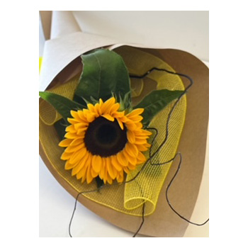 Send Single Sunflowers to Brighten up one's Day Send Single Sunflowers to Brighten up one's Day flowers delivery - Flowers Auckland