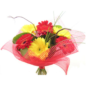 Simply Bright Gerberas delivered at Flowers Auckland flowers delivery - Flowers Auckland