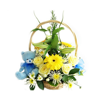 Baby Flower Basket for your New Arrival at Flowers Auckland flowers delivery - Flowers Auckland