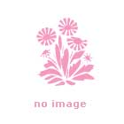 NZ Irish Coffee Truffles NZ Irish Coffee Truffles flowers delivery - Flowers Auckland