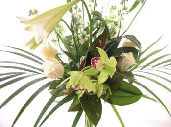 Christmas Colour Bouquet delivered Auckland wide flowers delivery - Flowers Auckland