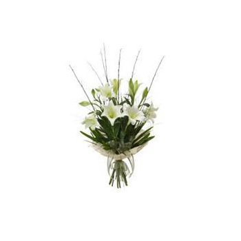 Christmas Lilies Christmas Lilies flowers delivery - Flowers Auckland