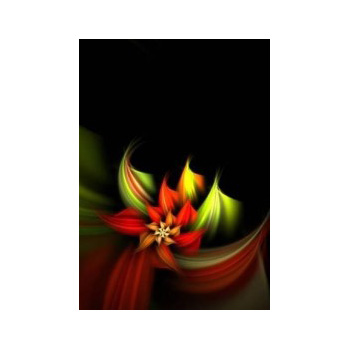 Gift Cards from Flowers Auckland Florist Gift Cards from Flowers Auckland Florist flowers delivery - Flowers Auckland