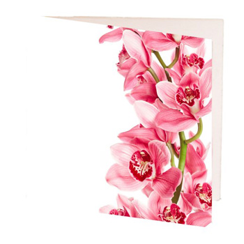 Lovely Gift Cards for flowers delivery flowers delivery - Flowers Auckland