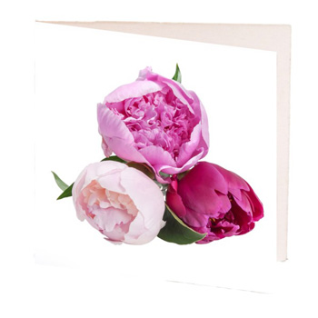 Peony Gift Cards at Flowers Auckland flowers delivery - Flowers Auckland