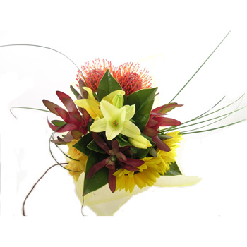 Flowers delivery - Sunny and Bold flowers delivery - Flowers Auckland