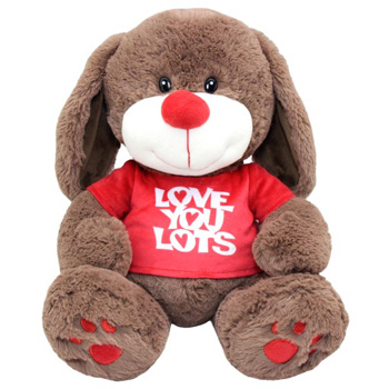 Love You Lots Romantic Soft Toy flowers delivery - Flowers Auckland