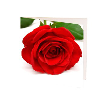Gift Cards for every occasion at Flowers Auckland Florist flowers delivery - Flowers Auckland