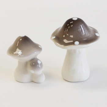 Ceramic Mushrooms Gifts sent Auckland wide flowers delivery - Flowers Auckland