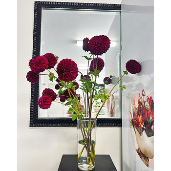 These 'hot" trending Flowers at Flowers Auckland will bring smiles flowers delivery - Flowers Auckland