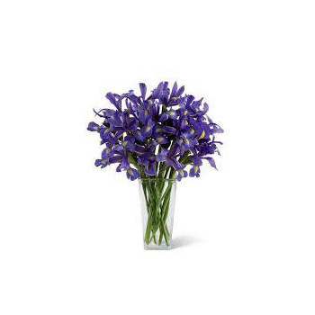  flowers delivery - Flowers Auckland