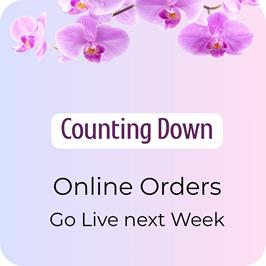 Coming Soon flowers delivery - Flowers Auckland