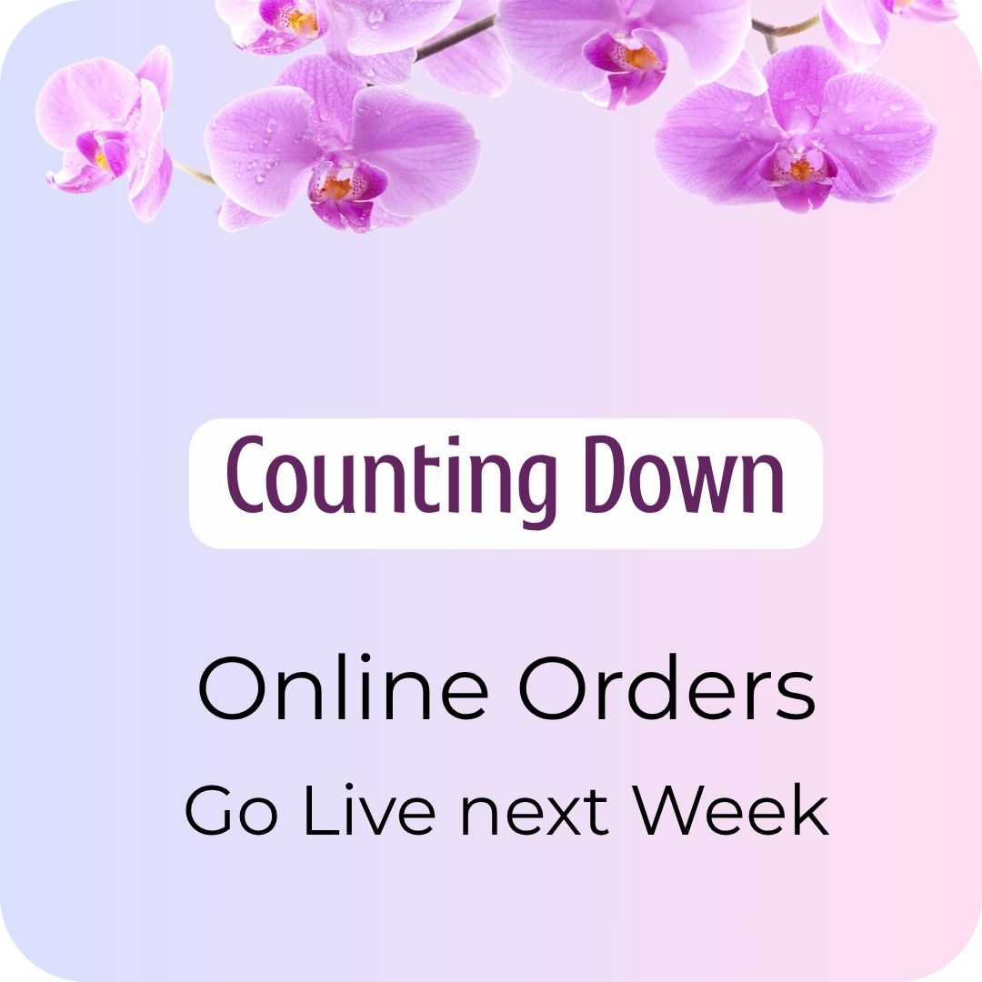  flowers delivery - Flowers Auckland