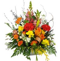 Bright Arrangement of Happiness flowers delivery - Flowers Auckland