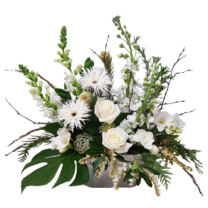  flowers delivery - Flowers Auckland