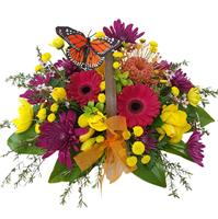 Floral Butterfly Basket flowers delivery - Flowers Auckland
