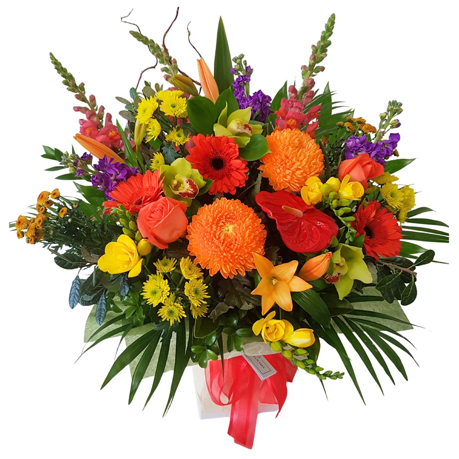  flowers delivery - Flowers Auckland