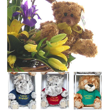 Flower Basket and Soft Toy gift - Flowers Auckland | Gift Basket